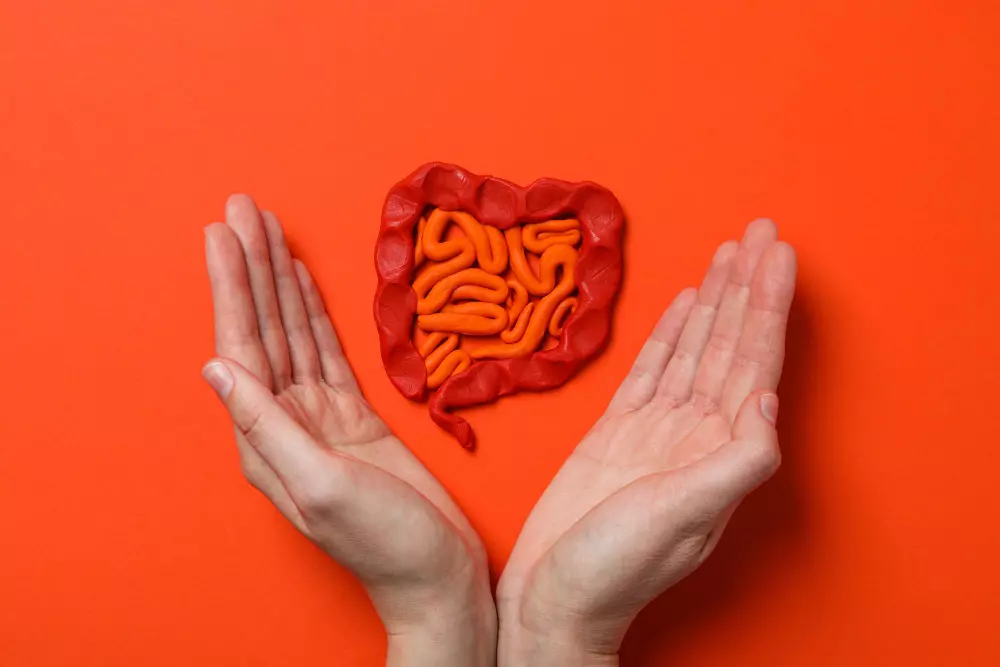 Micronutrient & Gut Microbiome Assessment in Portland