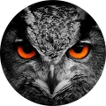 Amna Alsatari Avatar